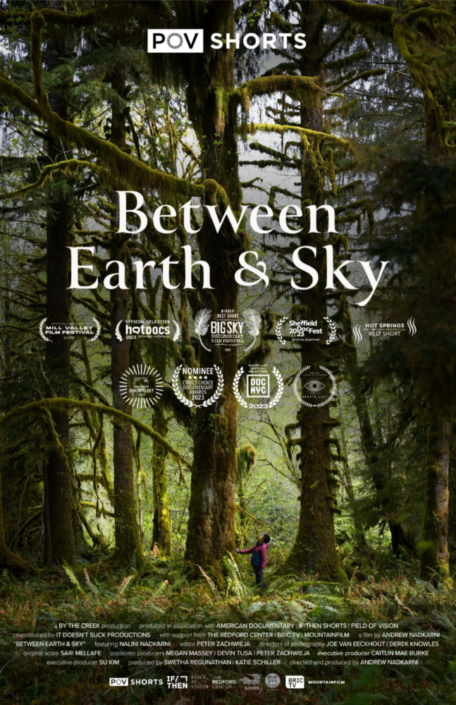 Poster for the film: Between Earth & Sky