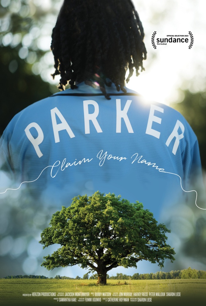 Poster for the film: Parker